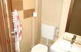 Apartament de inchiriat, 2 camere, decomandat, 60 mp, prima inchiriere, zona Big