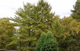 Apartament 2 camere, decomandat, 53 mp, loc de parcare, zona Iulius Mall