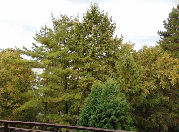 Apartament de vânzare 2 camere Gheorgheni - 27362AV | BLITZ Cluj-Napoca | Poza11