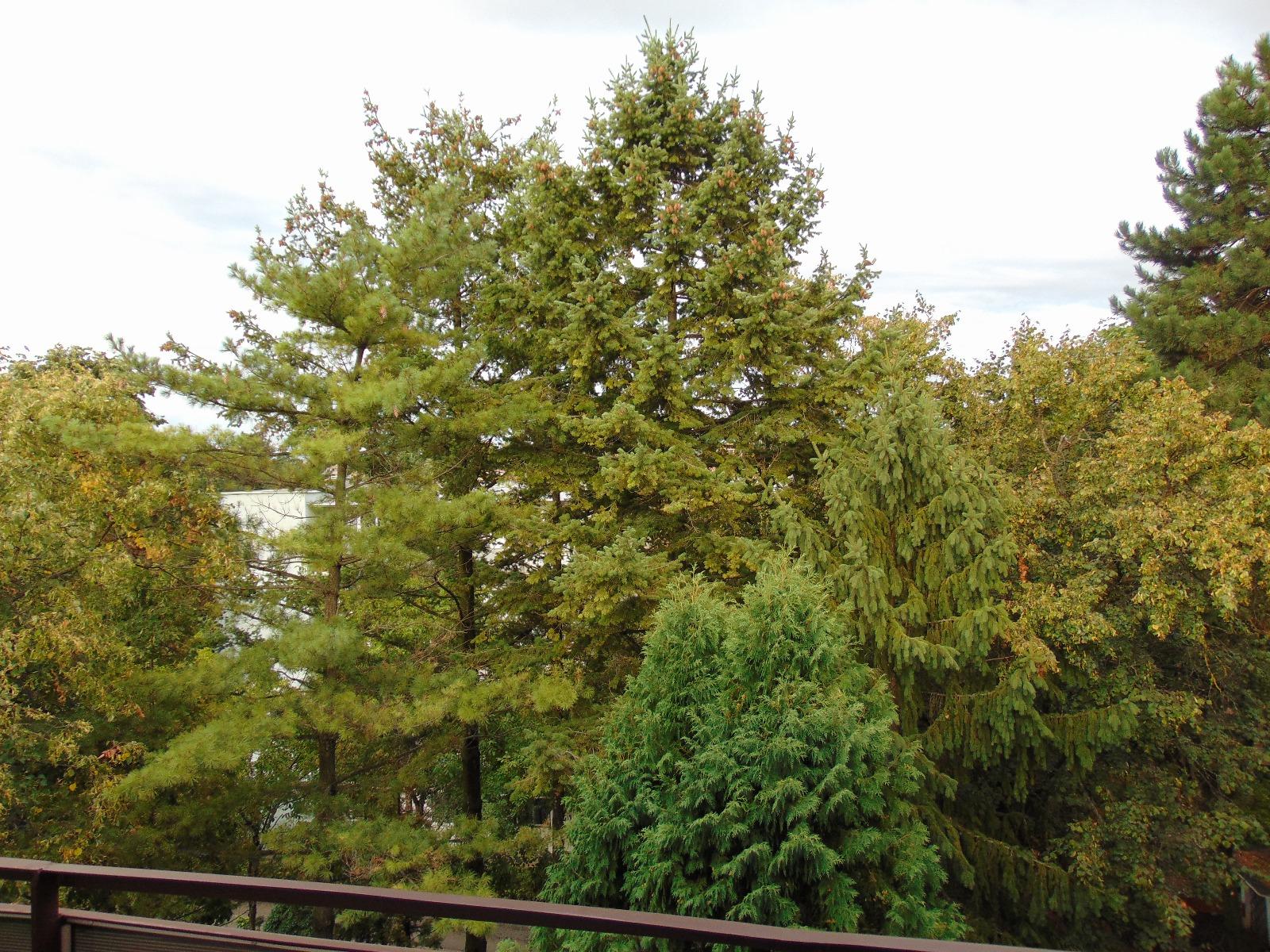 Apartament de vânzare 2 camere Gheorgheni - 27362AV | BLITZ Cluj-Napoca | Poza11