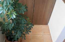 Apartament de 2 camere decomandate, parcare si balcon, zona strazii Somesului