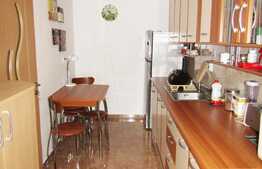 Apartament cu 1 camera, 46 mp, imobil nou, zona USAMV