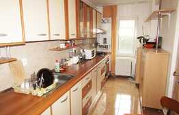 Apartament cu 1 camera, 46 mp, imobil nou, zona USAMV