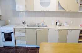 Apartament 2 camere, 60 mp, garaj, pet friendly, Buna Ziua