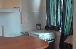 Garsoniera de inchiriat, 22 mp, mobilat modern, zona Casa Piratilor