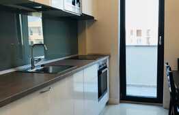 Apartament 3 camere, 70 mp, mobilat modern, terasa, Complexului Park Lake