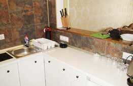 Apartament 1 camera, 54 mp, prima inchiriere, zona Bulevardul Eroilor