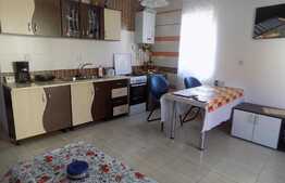Apartament in vila, 3 camere, 77 mp, la cheie! Garaj! Zona strazii Porii! 