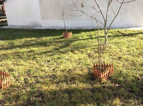 Casa de vânzare 4 camere Exterior Sud - 27440CV | BLITZ Cluj-Napoca | Poza3