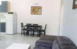 3 camere, 60 mp, imobil tip casa, mobilat modern, zona USAMV