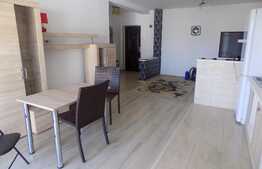Apartament 2 camere, 55 mp, la prima inchiriere! Parcare! Zona strazii Porii!