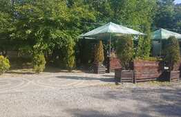 Spatiu multifunctional, 550 mp, zona Iulius Mall