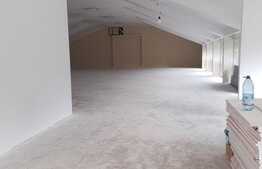 Spatiu multifunctional, 550 mp, zona Iulius Mall