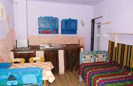 Garsoniera de vanzare, 16 mp, in casa/vila, zona BRD