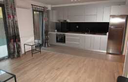  2 camere, 50 mp, mobilat modern , parcare! Gradina de 30 mp! Zona Donath Park!