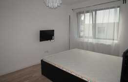  2 camere, 50 mp, mobilat modern , parcare! Gradina de 30 mp! Zona Donath Park!