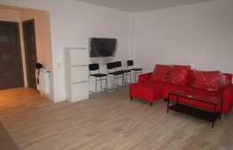  2 camere, 50 mp, mobilat modern , parcare! Gradina de 30 mp! Zona Donath Park!