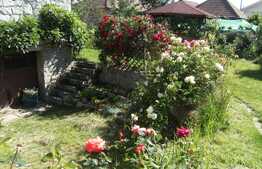 Vanzare casa individuala, 320 mp utili, 707 mp teren, zona de case si vile