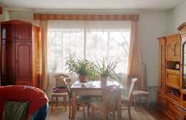 Vanzare casa individuala, 320 mp utili, 707 mp teren, zona de case si vile