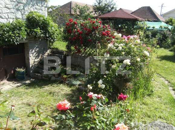 Casa de vânzare 9 camere Someseni - 27487CV | BLITZ Cluj-Napoca | Poza7