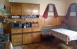 Casa individuala de vanzare, 100 mp utili, 777 mp de teren, zona linistita!