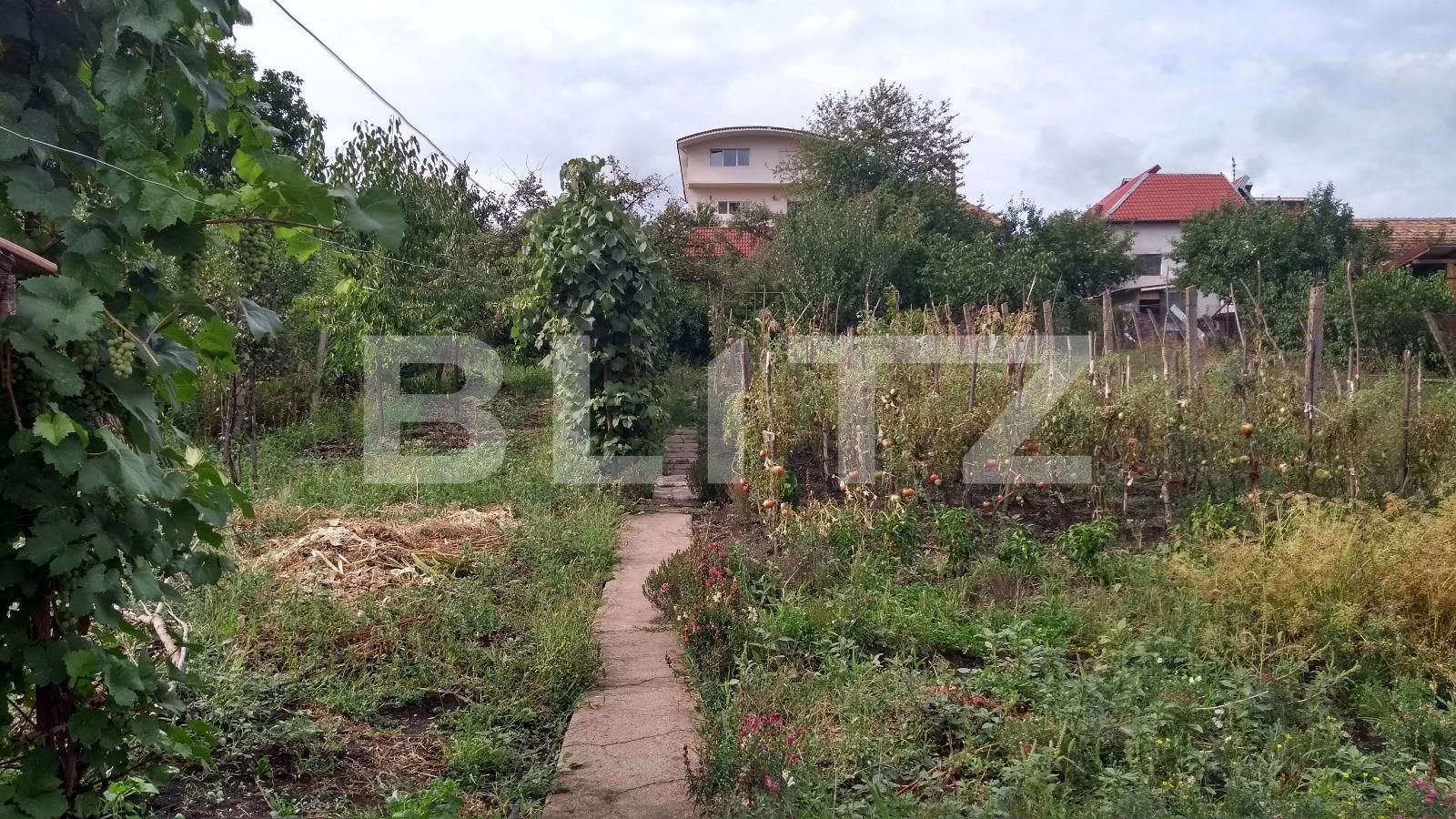 Casa de vânzare 3 camere Dambul Rotund - 27489CV | BLITZ Cluj-Napoca | Poza8