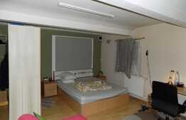 De inchiriat garsoniera 37 mp, imobil casa/vila, zona Gradina Botanica