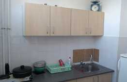 De vanzare garsoniera 28 mp, etaj intermediar, zona Big