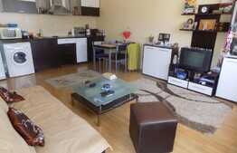 Apartament de vanzare, 2 camere, 44 mp, garaj, zona strazii Florilor