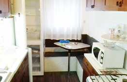 Apartament cu 2 camere, 40 mp, garaj, zona Facultatii de Litere