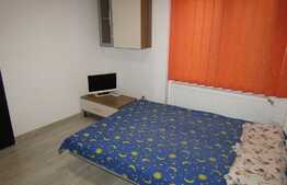 Garsoniera decomandata de 20 mp, mobilata si utilata, zona strazii Traian Vuia