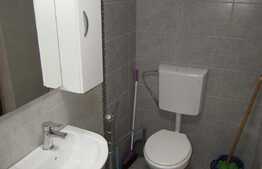 Garsoniera decomandata de 20 mp, mobilata si utilata, zona strazii Traian Vuia