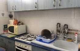  Eleganta in albastru si gri