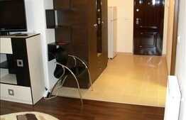 1 camera, 33 mp, zona strazii Horea! Finisaje si mobilier moderne!