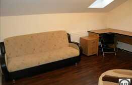 1 camera, 33 mp, zona strazii Horea! Finisaje si mobilier moderne!