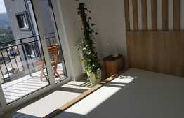 Putere. Eleganta. Naturalete