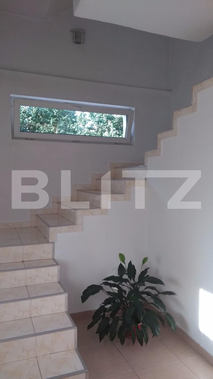 Casa de vânzare 11 camere Dambul Rotund - 27577CV | BLITZ Cluj-Napoca | Poza9