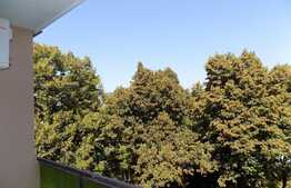 Apartament 2 camere, 64 mp, decomandat, prima inchiriere, zona strazii Plopilor