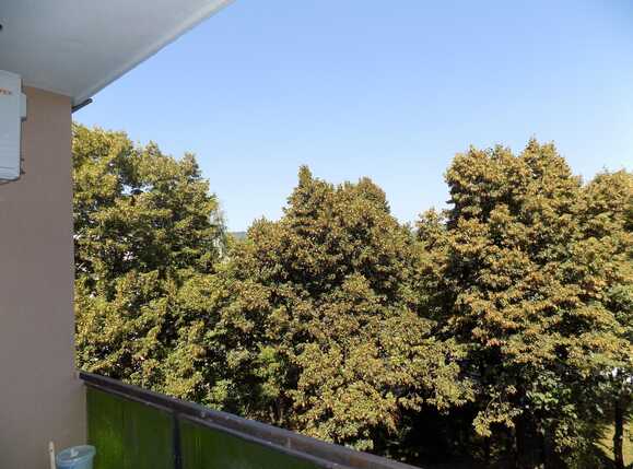 Apartament de închiriat 2 camere Plopilor - 27578AI | BLITZ Cluj-Napoca | Poza16