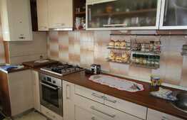 Apartament 3 camere, 70 mp,complet mobilat! A.C! Garaj! Zona Expo Transilvania! 