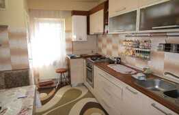 Apartament 3 camere, 70 mp,complet mobilat! A.C! Garaj! Zona Expo Transilvania! 