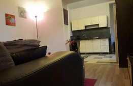 De inchirat apartament 2 camere, 47 mp, mobilat si utilat! Parcare! Zona USAMV!