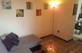 De inchirat apartament 2 camere, 47 mp, mobilat si utilat! Parcare! Zona USAMV!