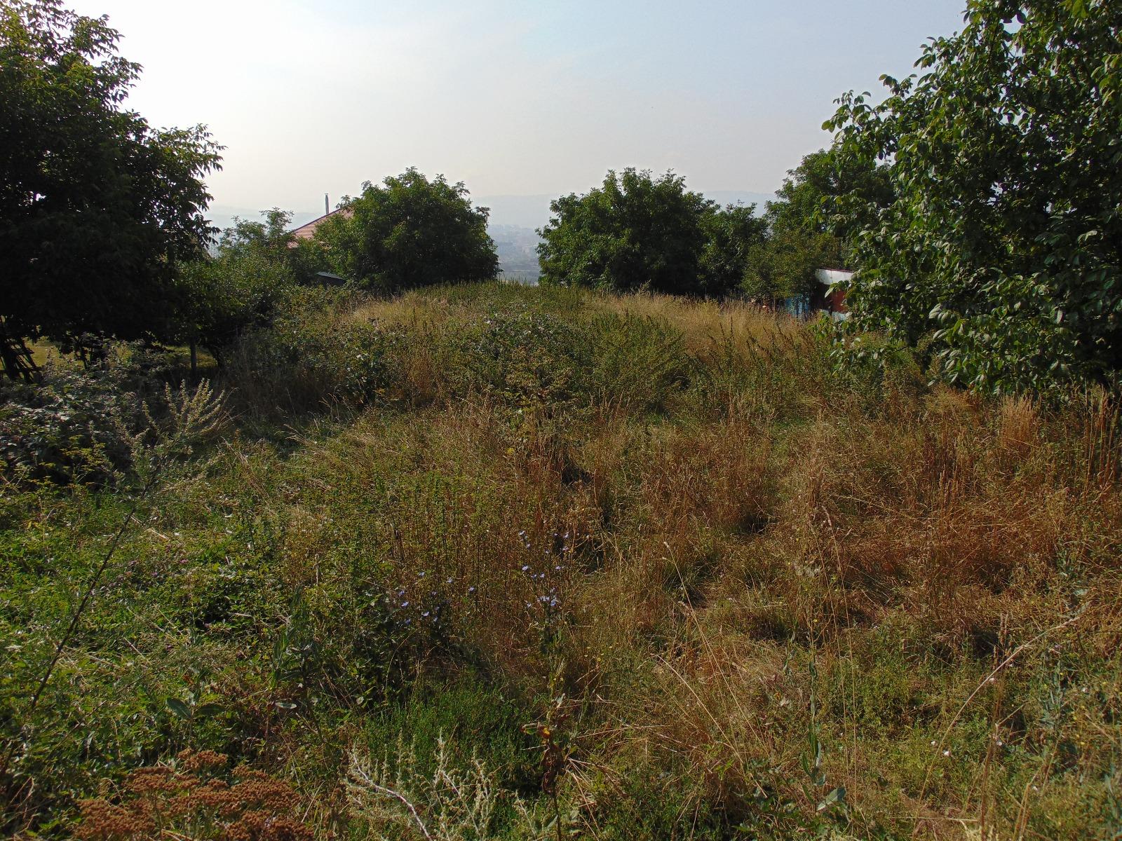 Teren de vânzare Dambul Rotund - 27593TV | BLITZ Cluj-Napoca | Poza2