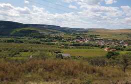 Vanzare teren intravilan 1200 mp, zona linistita