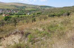 Vanzare teren intravilan 1200 mp, zona linistita