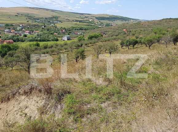 Teren de vânzare Baciu - 27597TV | BLITZ Cluj-Napoca | Poza3