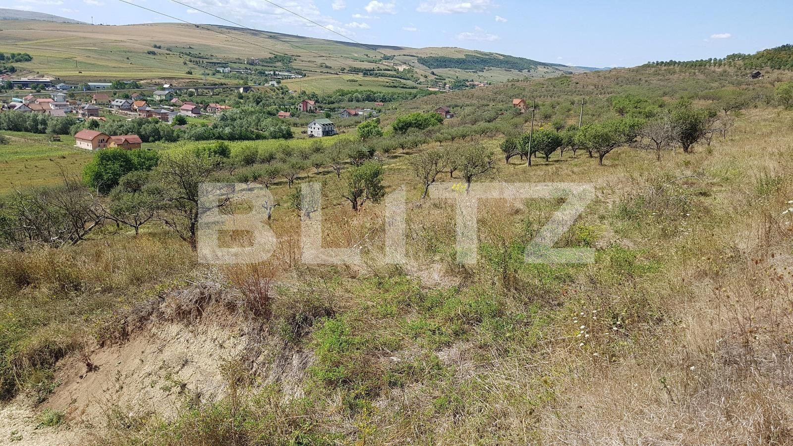 Teren de vânzare Baciu - 27597TV | BLITZ Cluj-Napoca | Poza3