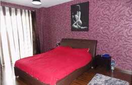 Apartamentul in care elementele decorative vorbesc