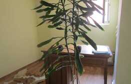 Casa cuplata 140 mp utili, teren de 20 mp, zona Hotel Napoca